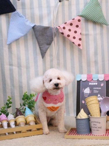 20250509あんちゃん